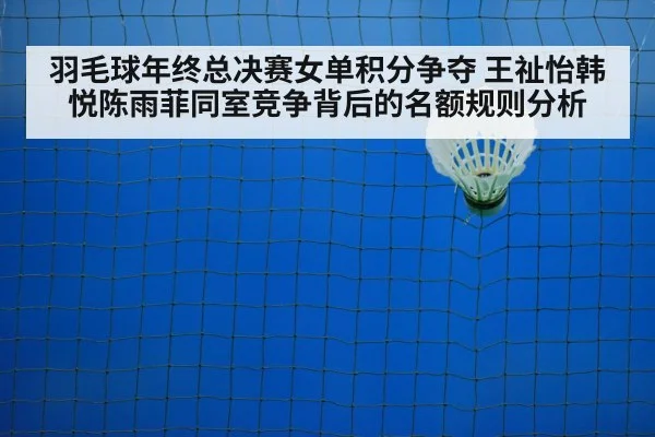 badminton shuttlecock on court