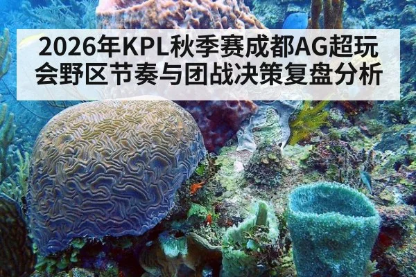 2026年KPL秋季赛成都AG超玩会野区节奏与团战决策复盘分析